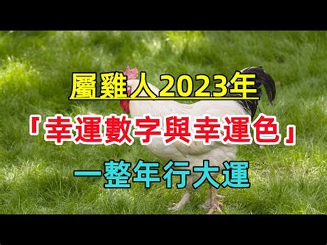 屬雞今年幸運色|屬雞必看：幸運色改變你命運